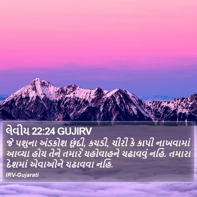 લેવીય 22:24 GUJIRV Bible Verse Image