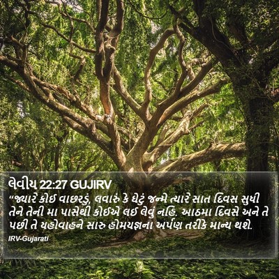 લેવીય 22:27 GUJIRV Bible Verse Image