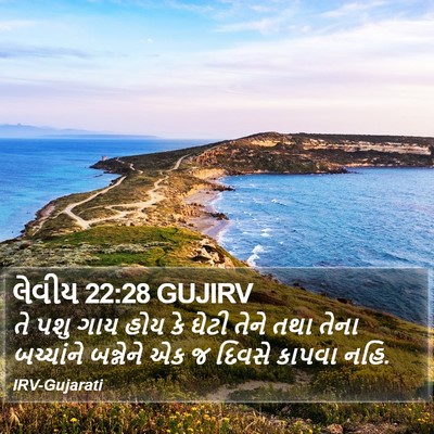 લેવીય 22:28 GUJIRV Bible Verse Image