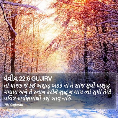 લેવીય 22:6 GUJIRV Bible Verse Image