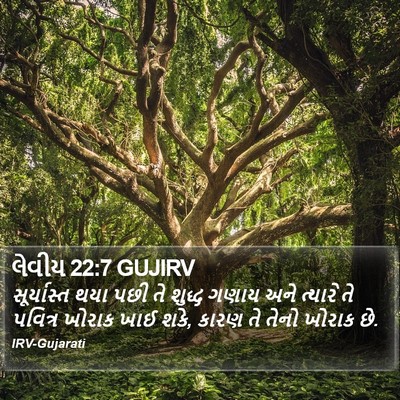 લેવીય 22:7 GUJIRV Bible Verse Image