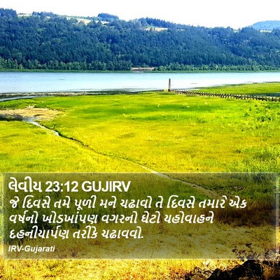 લેવીય 23:12 GUJIRV Bible Verse Image