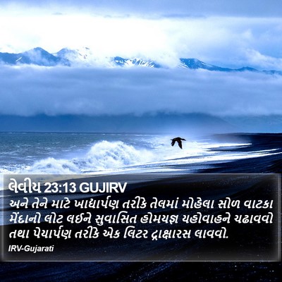લેવીય 23:13 GUJIRV Bible Verse Image