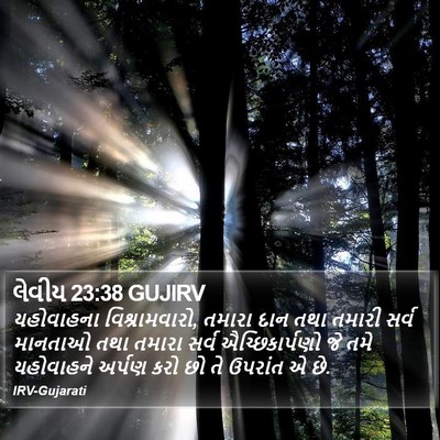 લેવીય 23:38 GUJIRV Bible Verse Image
