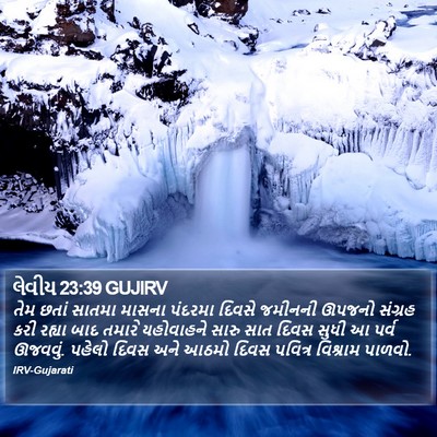 લેવીય 23:39 GUJIRV Bible Verse Image