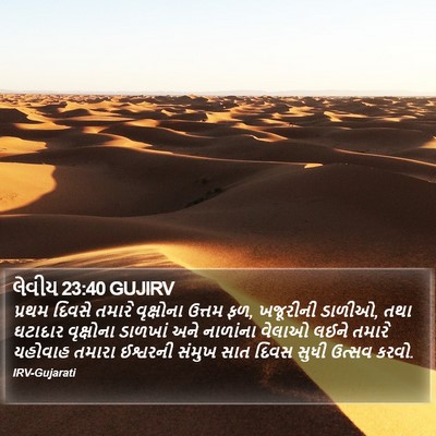 લેવીય 23:40 GUJIRV Bible Verse Image