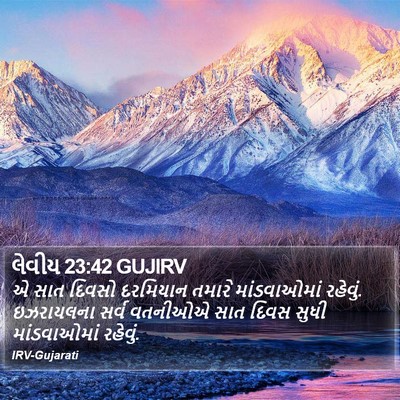 લેવીય 23:42 GUJIRV Bible Verse Image
