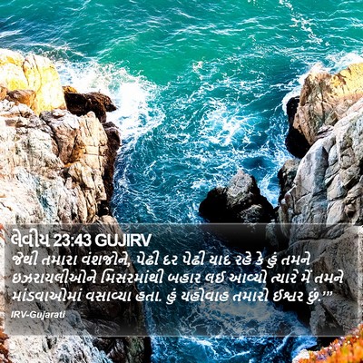 લેવીય 23:43 GUJIRV Bible Verse Image