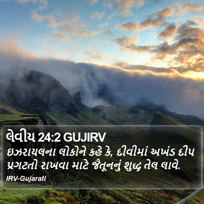 લેવીય 24:2 GUJIRV Bible Verse Image