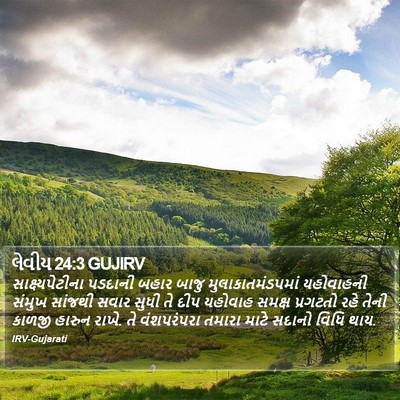 લેવીય 24:3 GUJIRV Bible Verse Image