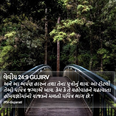 લેવીય 24:9 GUJIRV Bible Verse Image