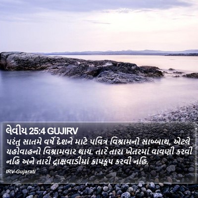 લેવીય 25:4 GUJIRV Bible Verse Image