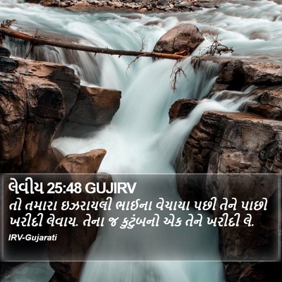 લેવીય 25:48 GUJIRV Bible Verse Image