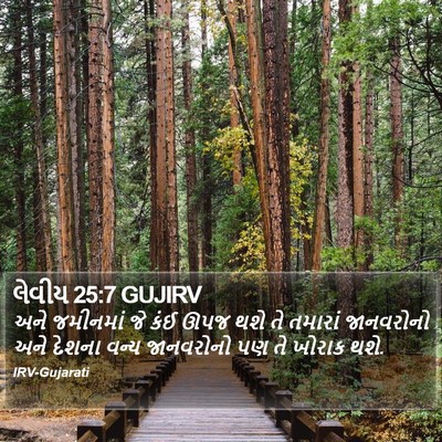 લેવીય 25:7 GUJIRV Bible Verse Image