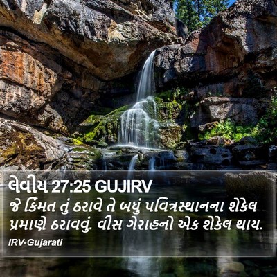 લેવીય 27:25 GUJIRV Bible Verse Image