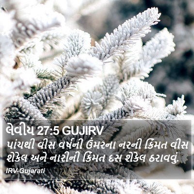 લેવીય 27:5 GUJIRV Bible Verse Image