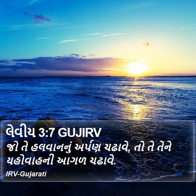 લેવીય 3:7 GUJIRV Bible Verse Image