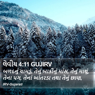 લેવીય 4:11 GUJIRV Bible Verse Image