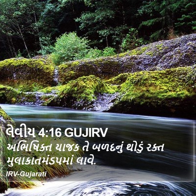 લેવીય 4:16 GUJIRV Bible Verse Image