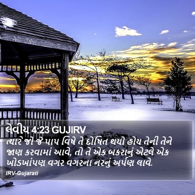 લેવીય 4:23 GUJIRV Bible Verse Image