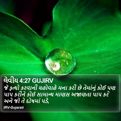 લેવીય 4:27 GUJIRV Bible Verse Image