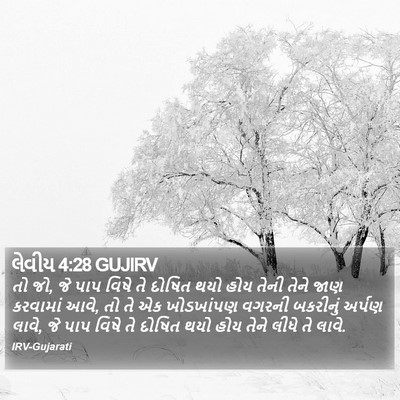 લેવીય 4:28 GUJIRV Bible Verse Image