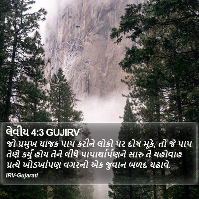લેવીય 4:3 GUJIRV Bible Verse Image