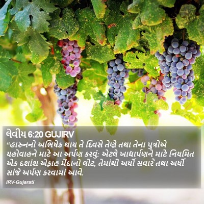 લેવીય 6:20 GUJIRV Bible Verse Image