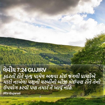 લેવીય 7:24 GUJIRV Bible Verse Image