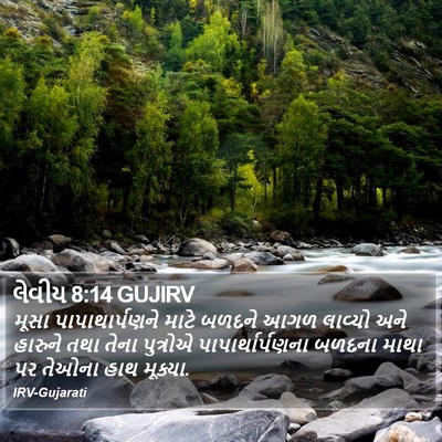લેવીય 8:14 GUJIRV Bible Verse Image