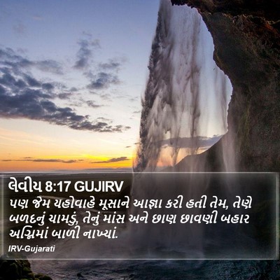 લેવીય 8:17 GUJIRV Bible Verse Image