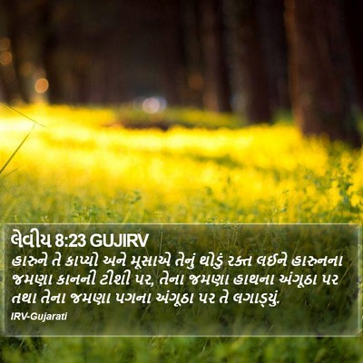 લેવીય 8:23 GUJIRV Bible Verse Image