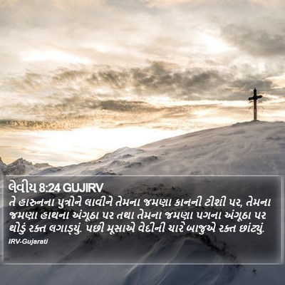 લેવીય 8:24 GUJIRV Bible Verse Image