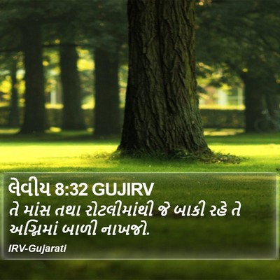 લેવીય 8:32 GUJIRV Bible Verse Image