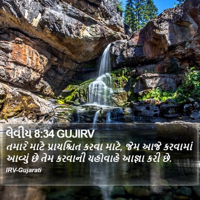 લેવીય 8:34 GUJIRV Bible Verse Image