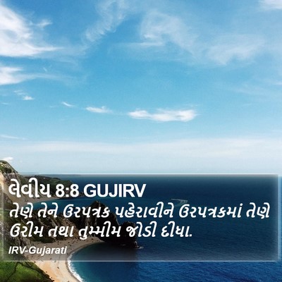 લેવીય 8:8 GUJIRV Bible Verse Image