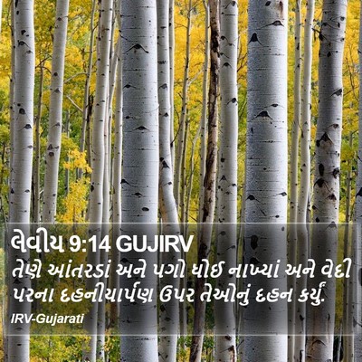 લેવીય 9:14 GUJIRV Bible Verse Image