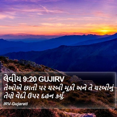 લેવીય 9:20 GUJIRV Bible Verse Image