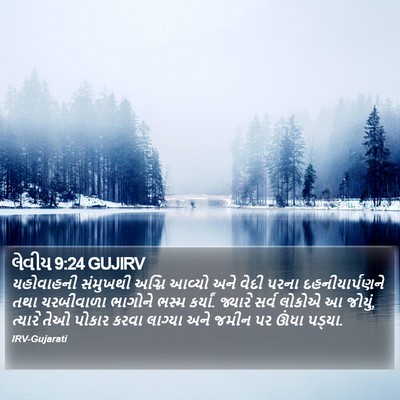 લેવીય 9:24 GUJIRV Bible Verse Image