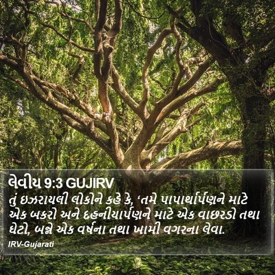 લેવીય 9:3 GUJIRV Bible Verse Image