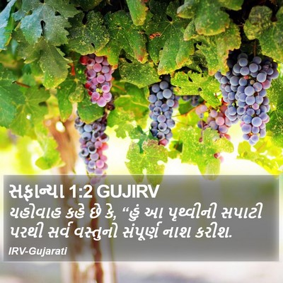 સફાન્યા 1:2 GUJIRV Bible Verse Image