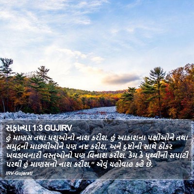 સફાન્યા 1:3 GUJIRV Bible Verse Image