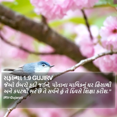 સફાન્યા 1:9 GUJIRV Bible Verse Image