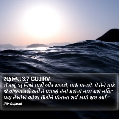 સફાન્યા 3:7 GUJIRV Bible Verse Image