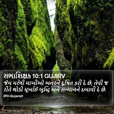 સભાશિક્ષક 10:1 GUJIRV Bible Verse Image