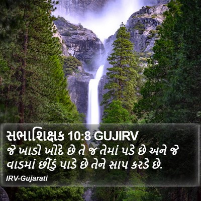 સભાશિક્ષક 10:8 GUJIRV Bible Verse Image