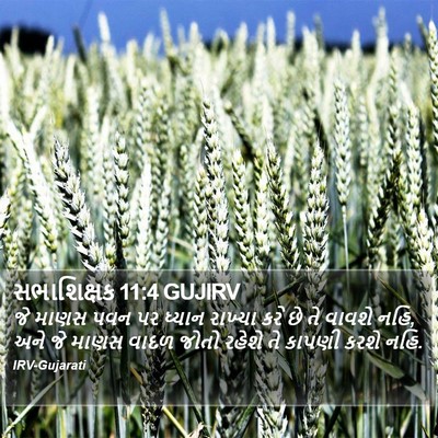 સભાશિક્ષક 11:4 GUJIRV Bible Verse Image