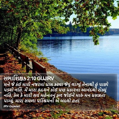 સભાશિક્ષક 2:10 GUJIRV Bible Verse Image
