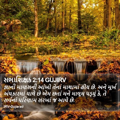 સભાશિક્ષક 2:14 GUJIRV Bible Verse Image