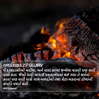સભાશિક્ષક 2:7 GUJIRV Bible Verse Image